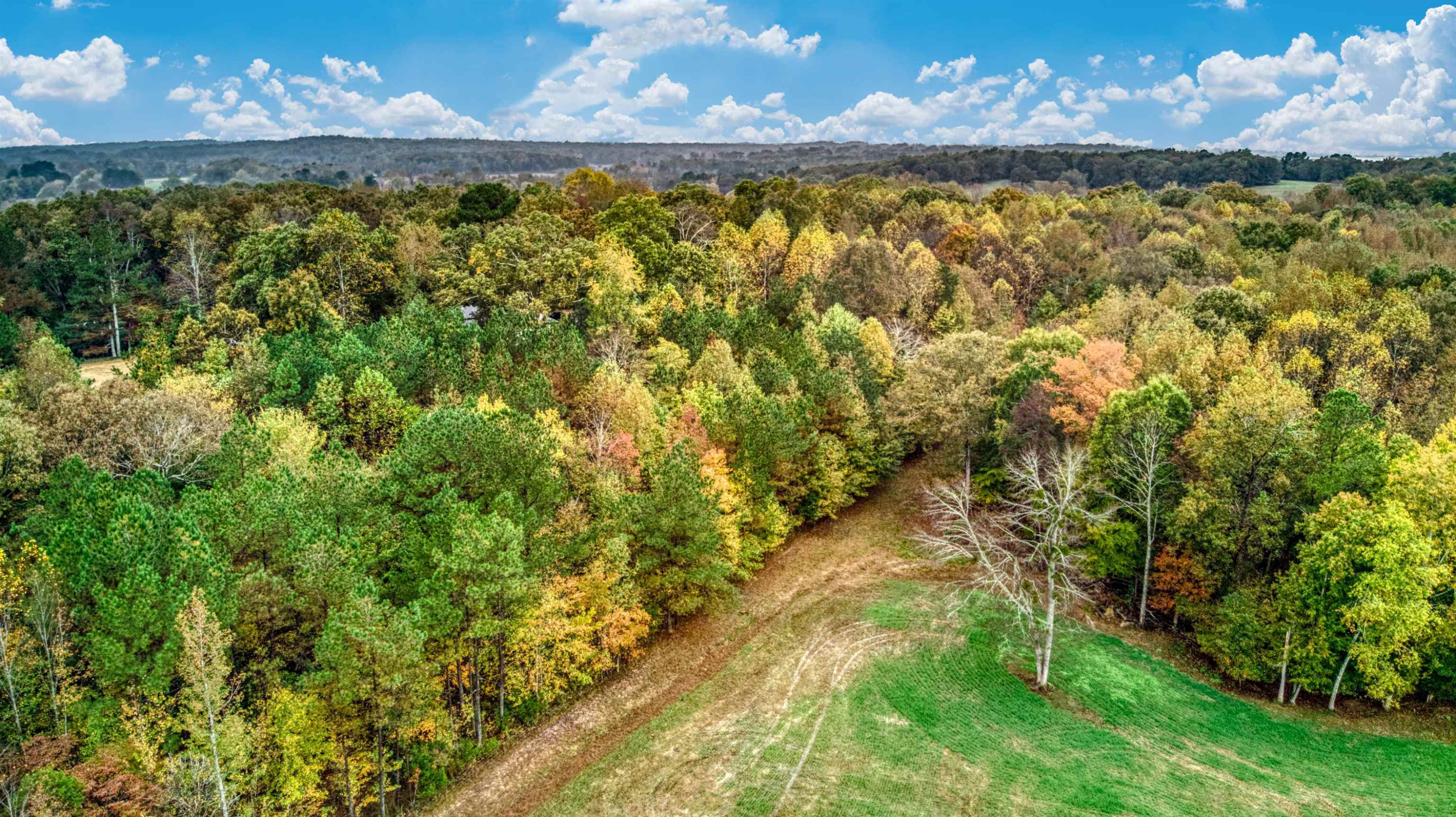 2070 Leo Woods Road Cedar Grove, TN 38321 - Photo 7 of 23 Photo 7