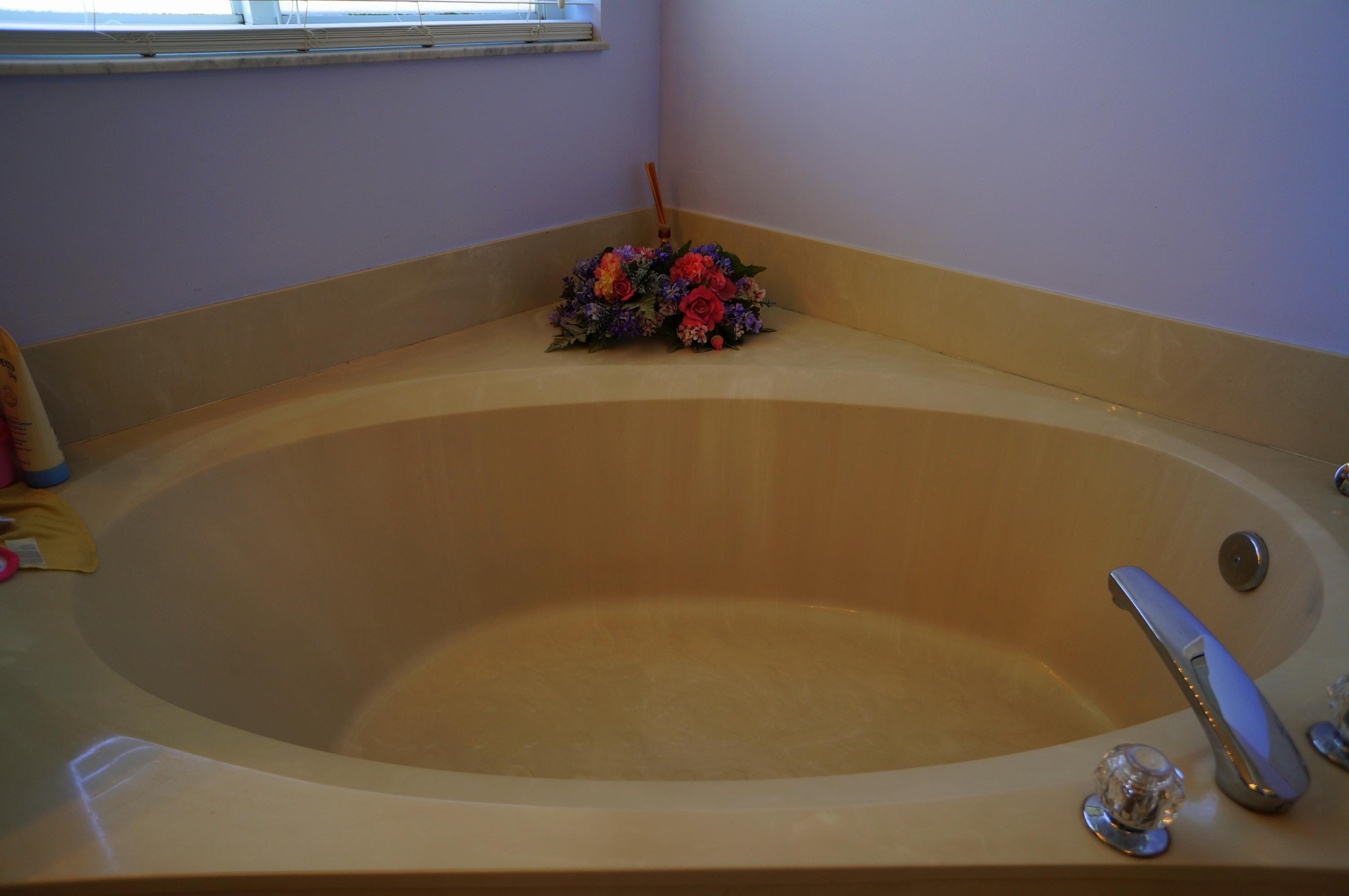 447 Southwest Talquin Lane Port St. Lucie, FL 34986 - Photo 20 of 36 Master Bath Tub Area