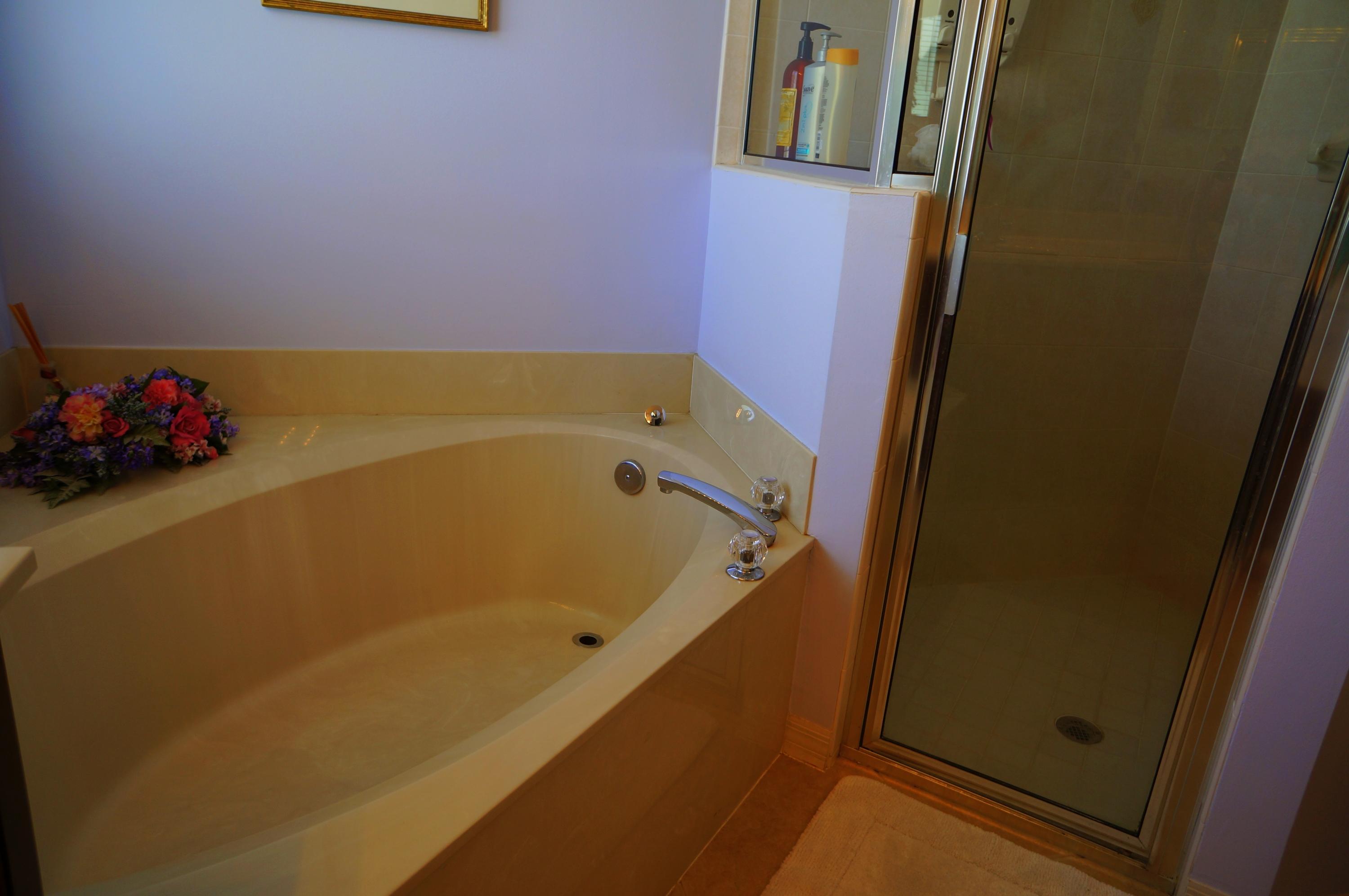 447 Southwest Talquin Lane Port St. Lucie, FL 34986 - Photo 21 of 36 Master Bath Tub/Shower