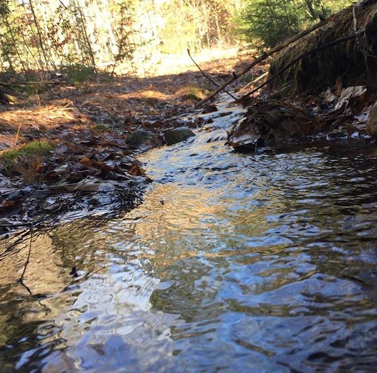 287 Province Road Strafford, NH 03884 - Photo 35 of 37