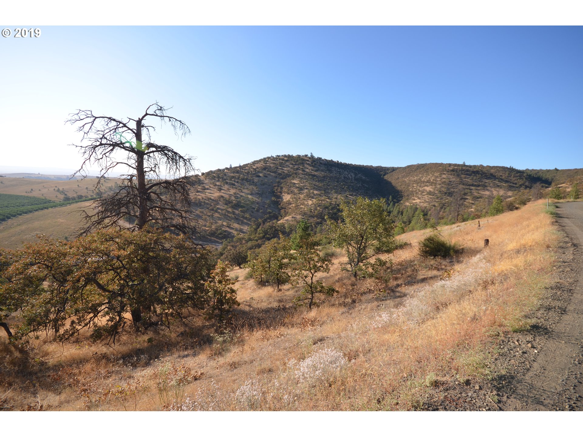 4880 Skyline Road The Dalles, OR 97058 - Photo 14 of 30 Gallery Image 14