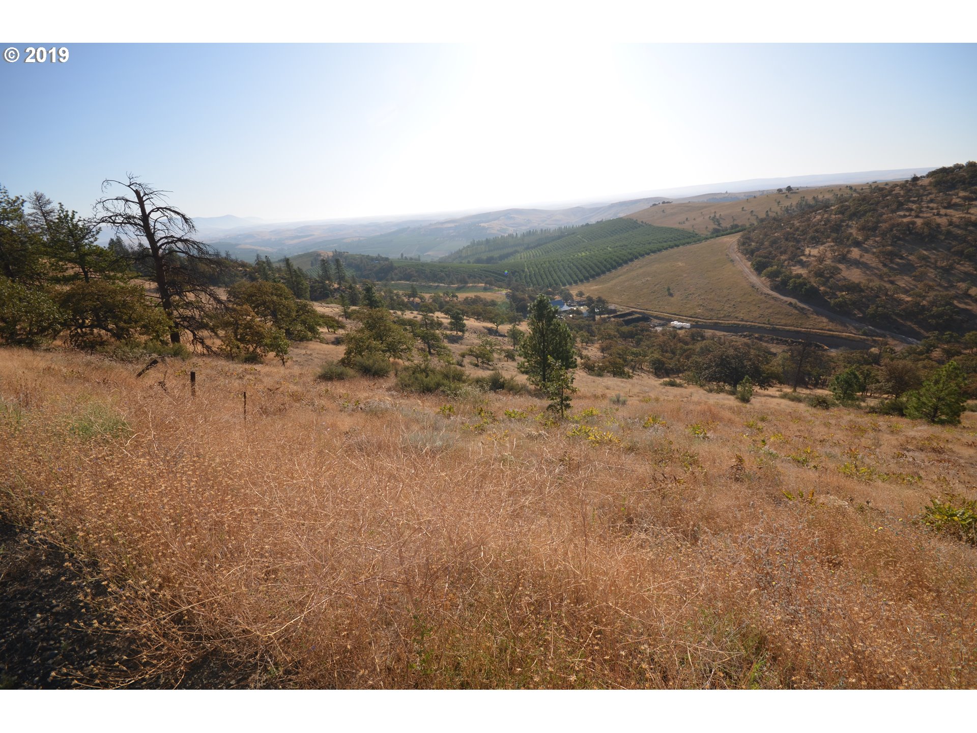 4880 Skyline Road The Dalles, OR 97058 - Photo 17 of 30 Gallery Image 17