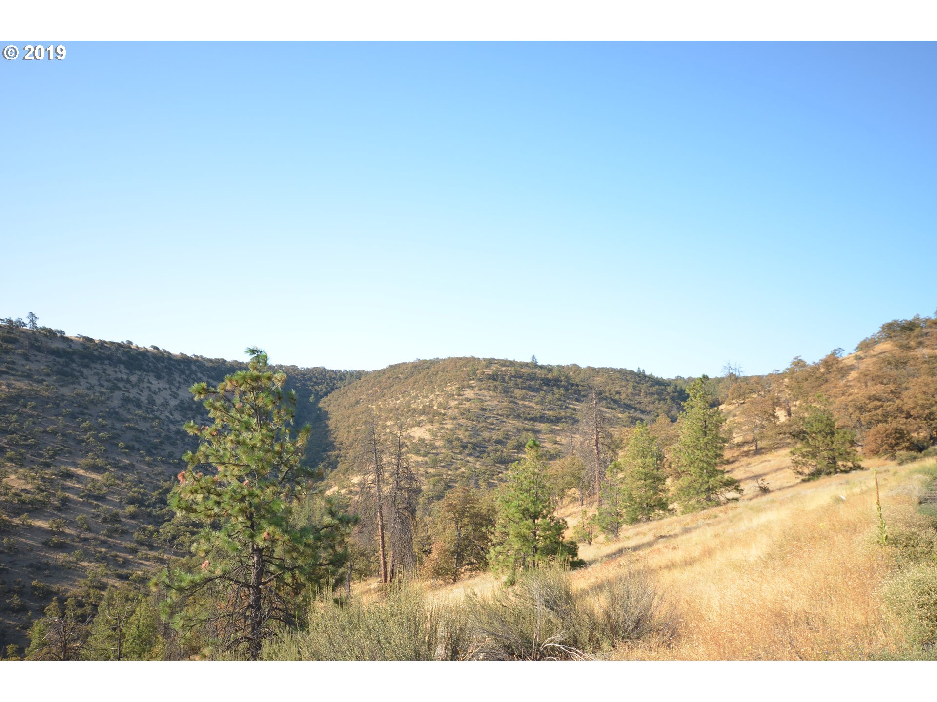 4880 Skyline Road The Dalles, OR 97058 - Photo 3 of 30 Gallery Image 3