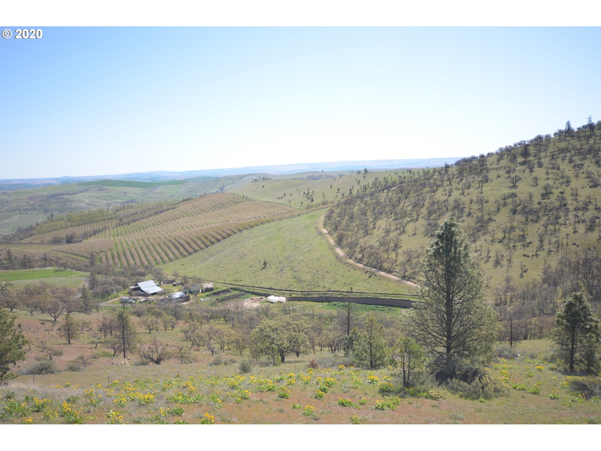 4880 Skyline Road The Dalles, OR 97058 - Photo 21 of 30 Gallery Image 21