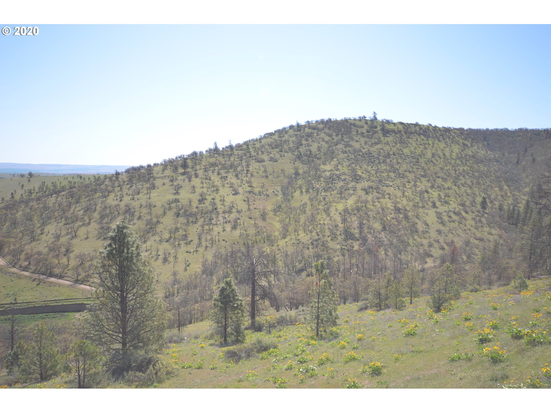 4880 Skyline Road The Dalles, OR 97058 - Photo 23 of 30 Gallery Image 23