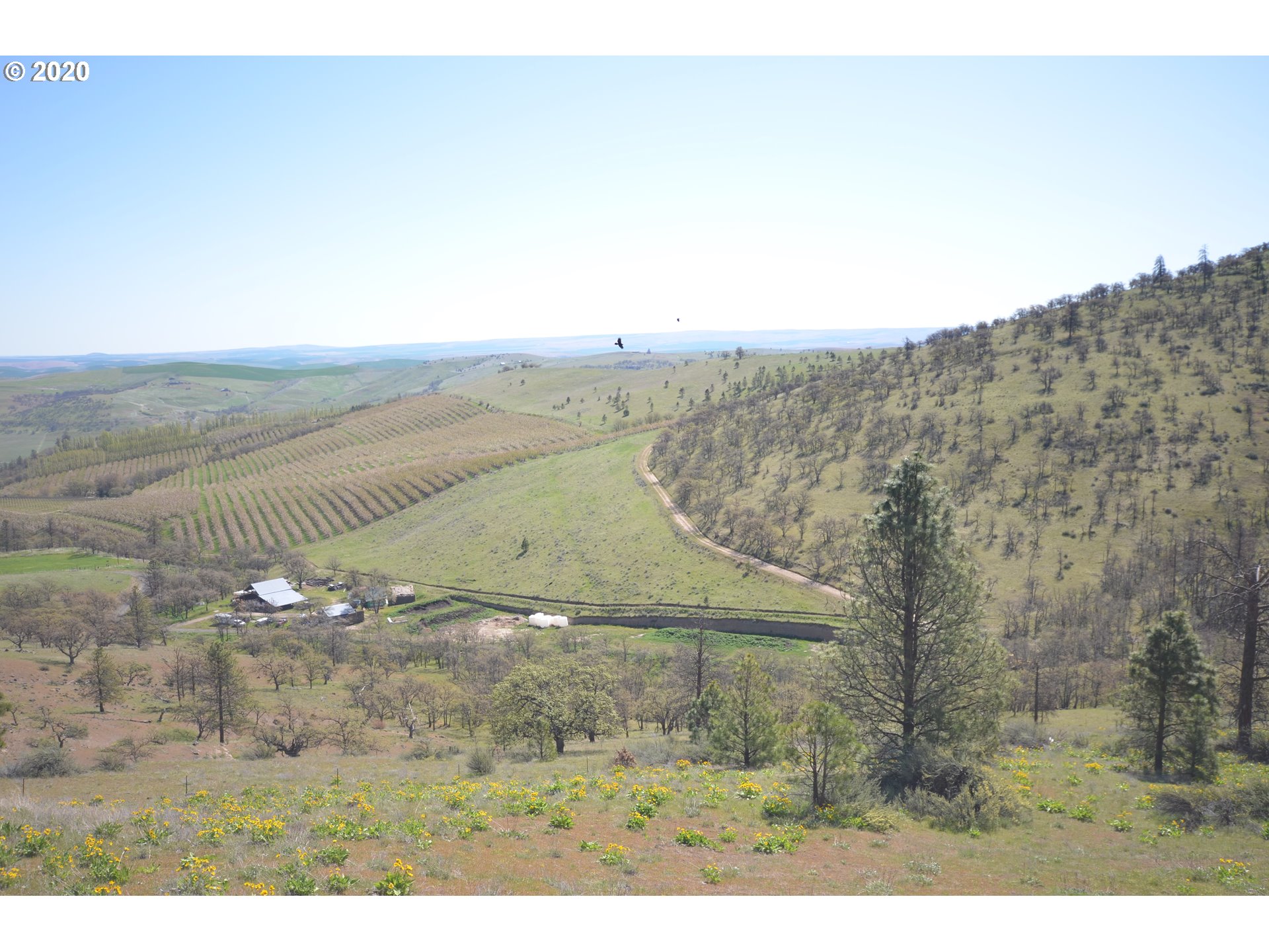 4880 Skyline Road The Dalles, OR 97058 - Photo 24 of 30 Gallery Image 24