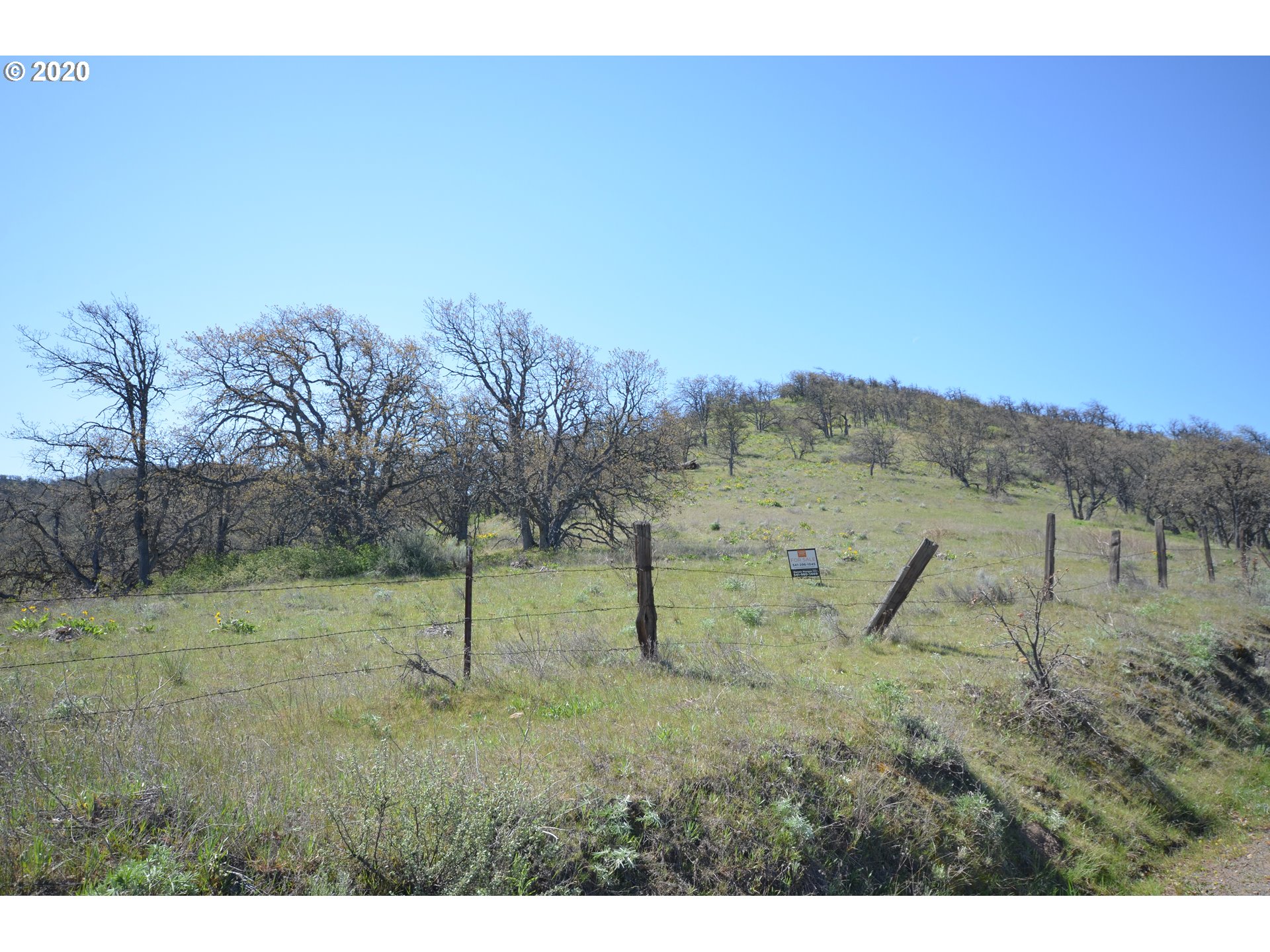4880 Skyline Road The Dalles, OR 97058 - Photo 25 of 30 Gallery Image 25