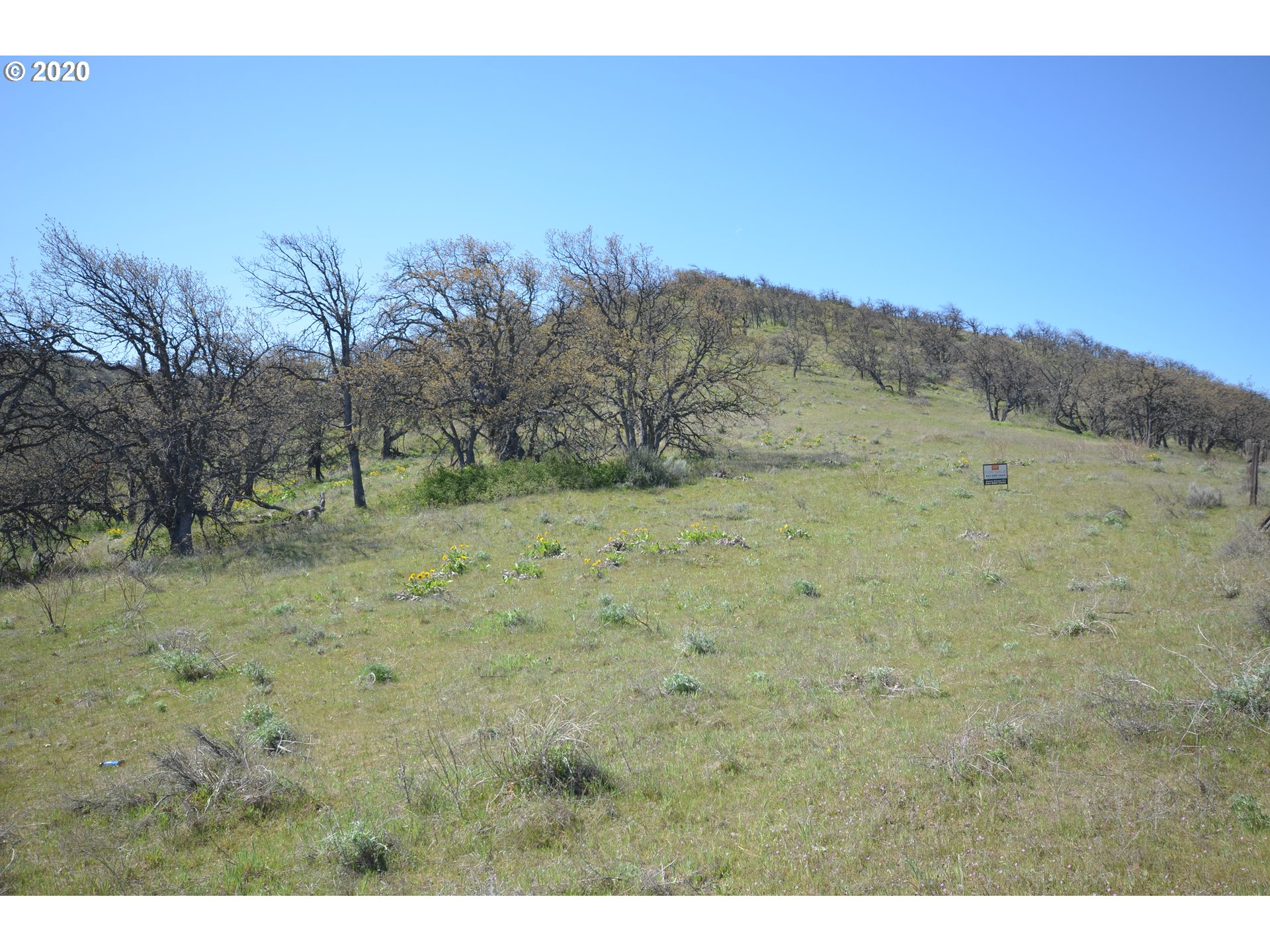 4880 Skyline Road The Dalles, OR 97058 - Photo 29 of 30 Gallery Image 29