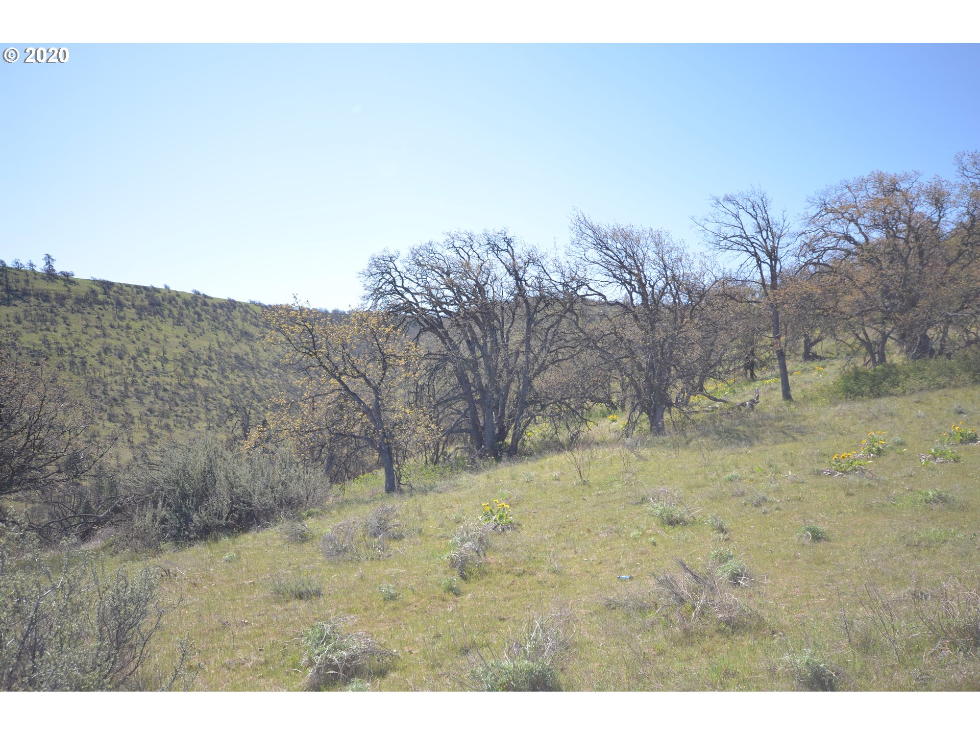 4880 Skyline Road The Dalles, OR 97058 - Photo 30 of 30 Gallery Image 30