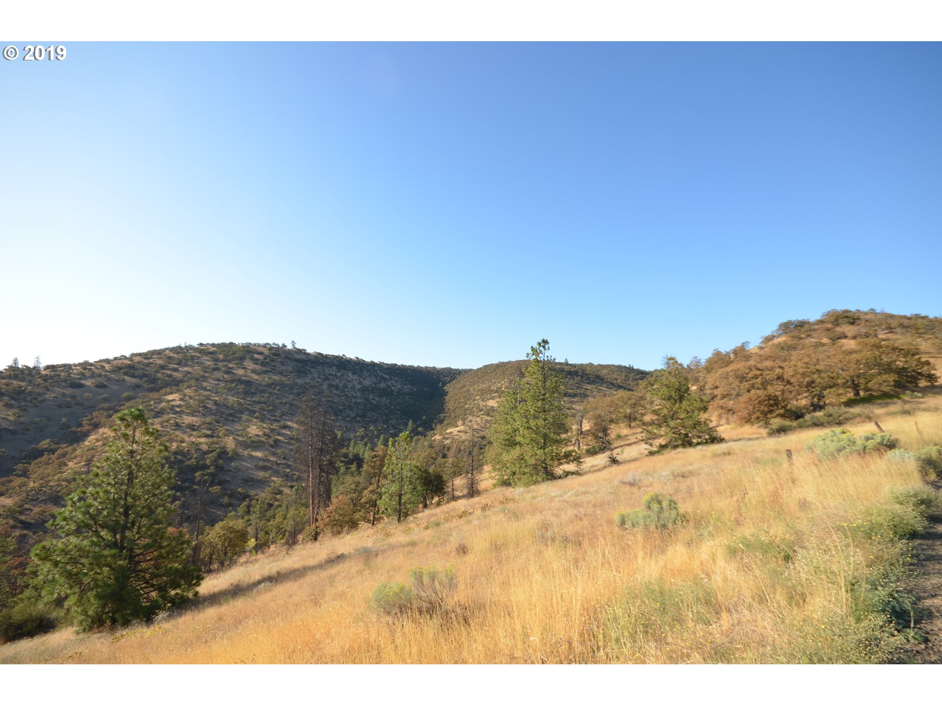 4880 Skyline Road The Dalles, OR 97058 - Photo 4 of 30 Gallery Image 4