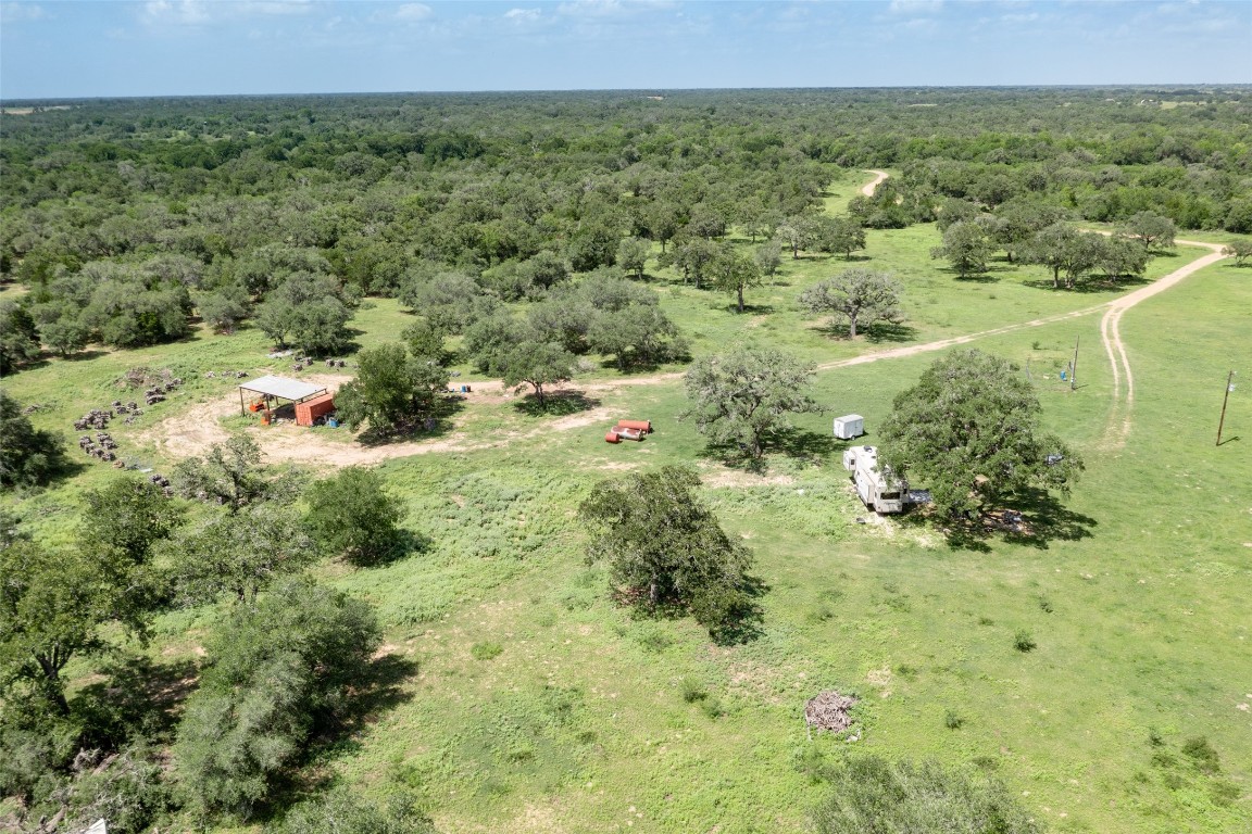 24.68-acres Cattle Guard Road Cuero, TX 77954 - Photo 34 of 49 a view of a green field with lots of trees
