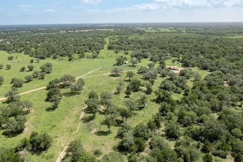 a view of a dry yard with lots of trees