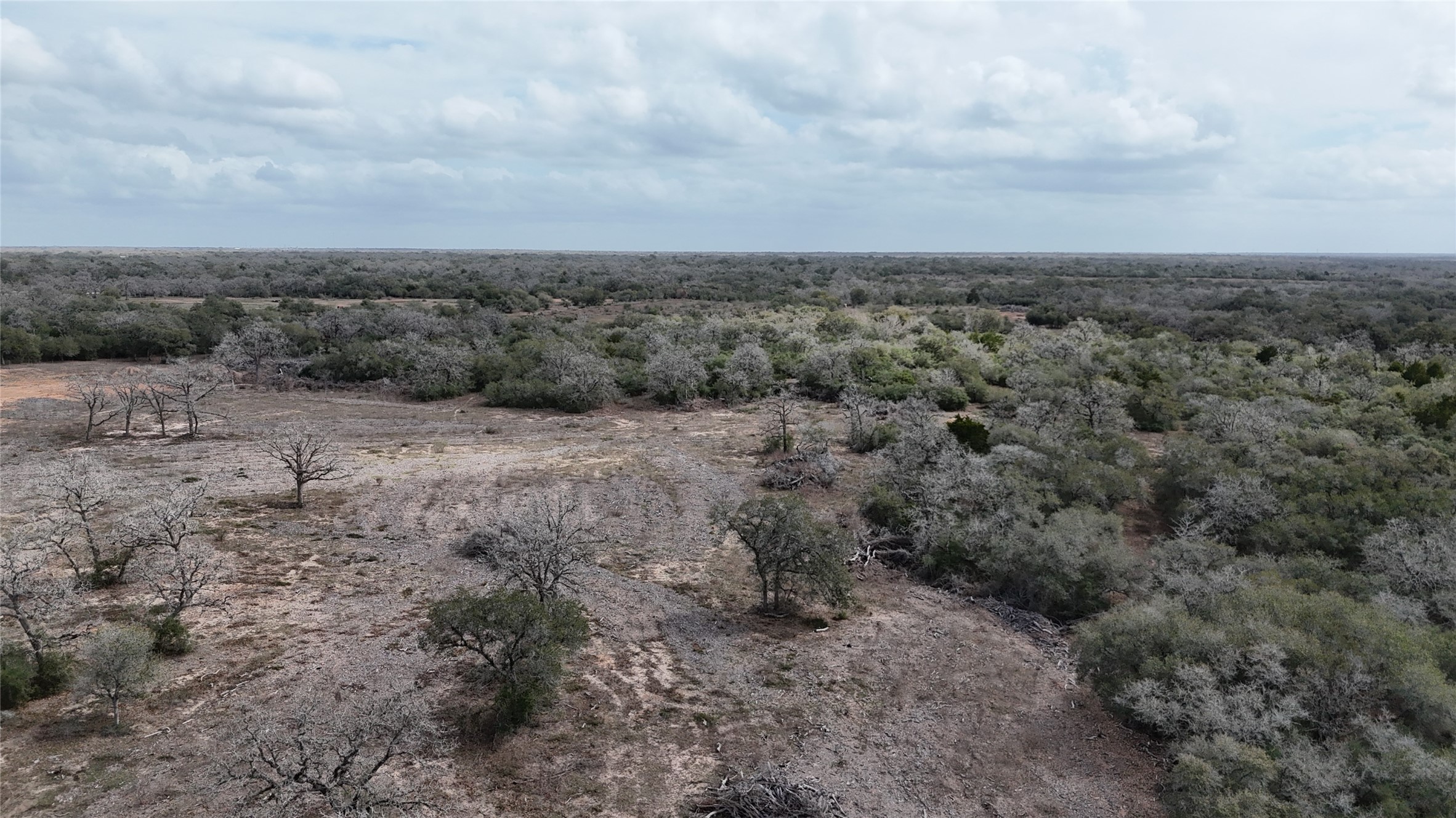 24.68-acres Cattle Guard Road Cuero, TX 77954 - Photo 40 of 49 a view of a dry yard with lots of trees
