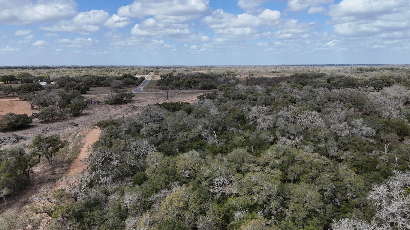 24.68-acres Cattle Guard Road Cuero, TX 77954 - Photo 42 of 49 an aerial view of multiple house with lots of trees