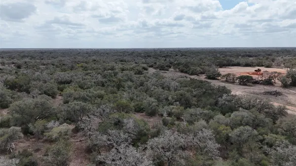 $313,436 | 24.68-acres Cattle Guard Road, Cuero, TX 77954