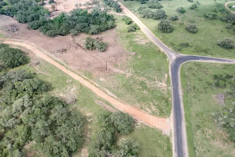 a view of a forest from a yard