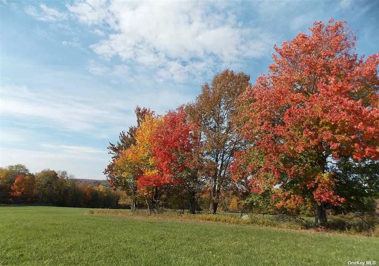 229 Menges Road Callicoon, NY 12758 - Photo 11 of 12