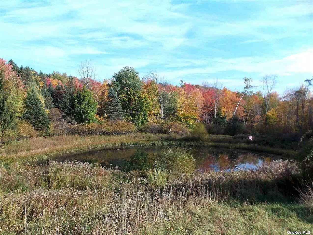 229 Menges Road Callicoon, NY 12758 - Photo 12 of 12