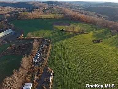 229 Menges Road Callicoon, NY 12758 - Photo 2 of 12