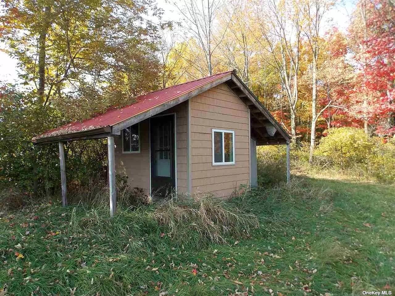 229 Menges Road Callicoon, NY 12758 - Photo 7 of 12