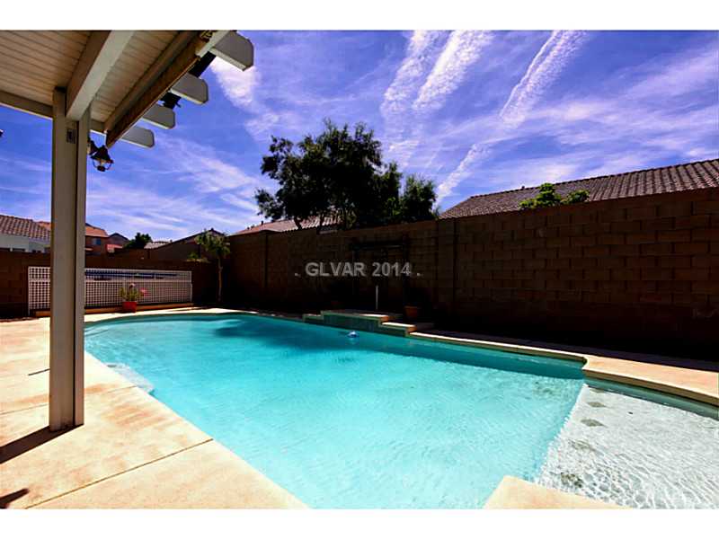 1017 Ridgegate Street Henderson, NV 89002 - Photo 17 of 19 Swimming Pool/Hot Tub/Sauna.