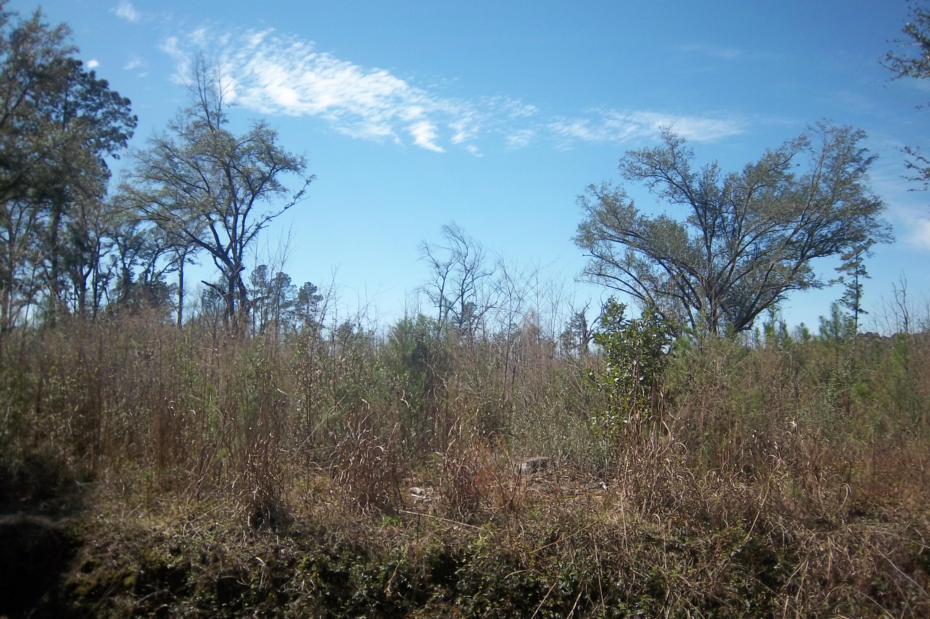 2 Salem Road Dorchester, SC 29437 - Photo 3 of 6 Photo 2