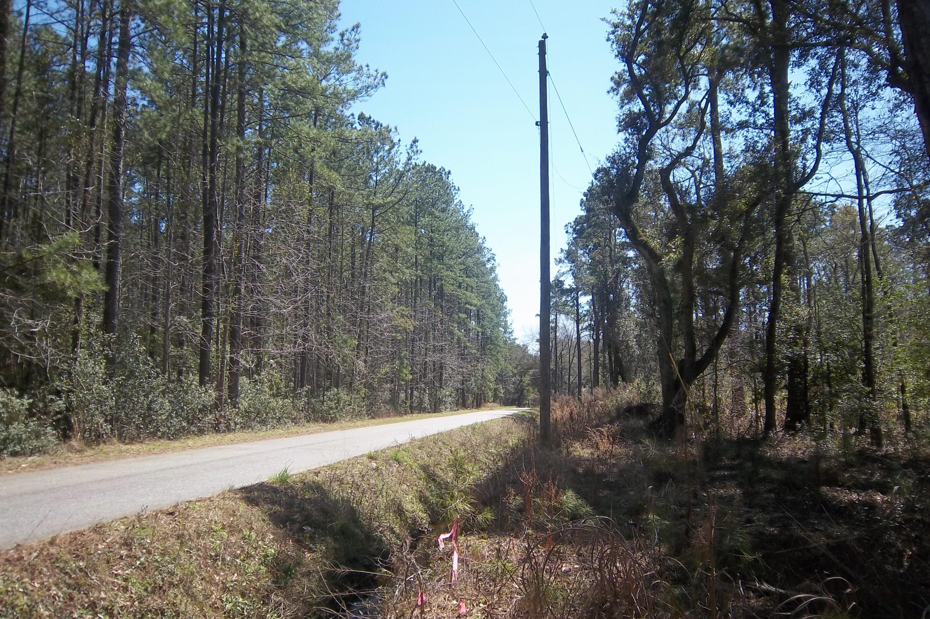 2 Salem Road Dorchester, SC 29437 - Photo 5 of 6 Road View