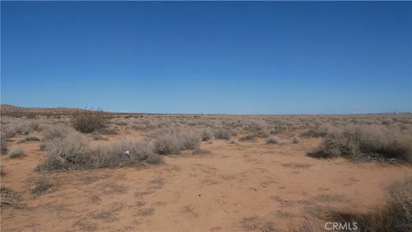 a view of a dry yard with mountains in the background