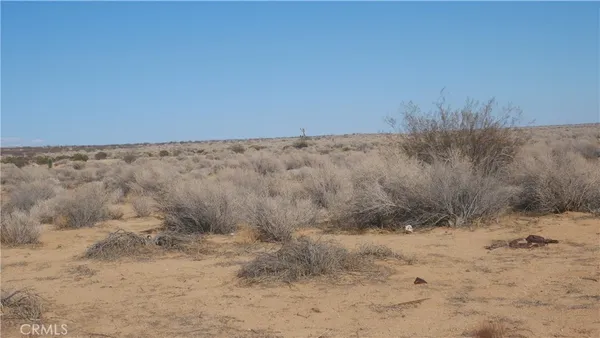 a view of a dry field with trees in the background