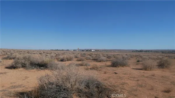 a view of a dry field with trees in back