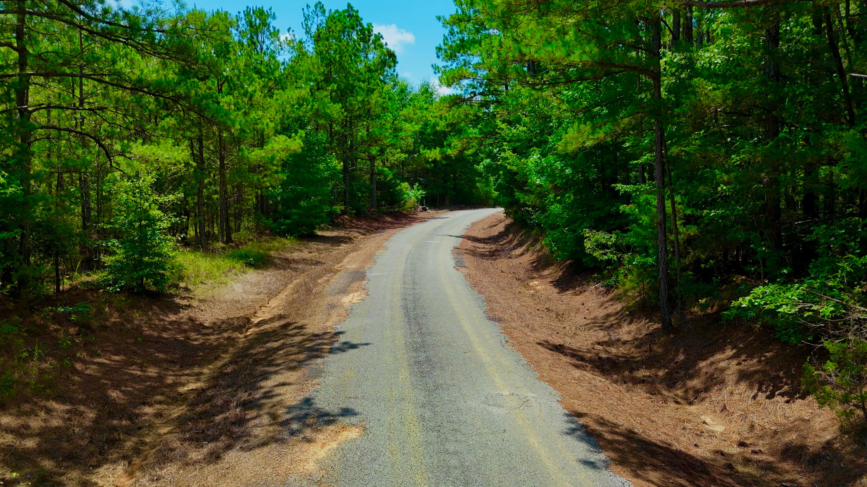 Lot 6 Old Morris Road Eupora, MS 39744 - Photo 13 of 23 Gallery Image 13
