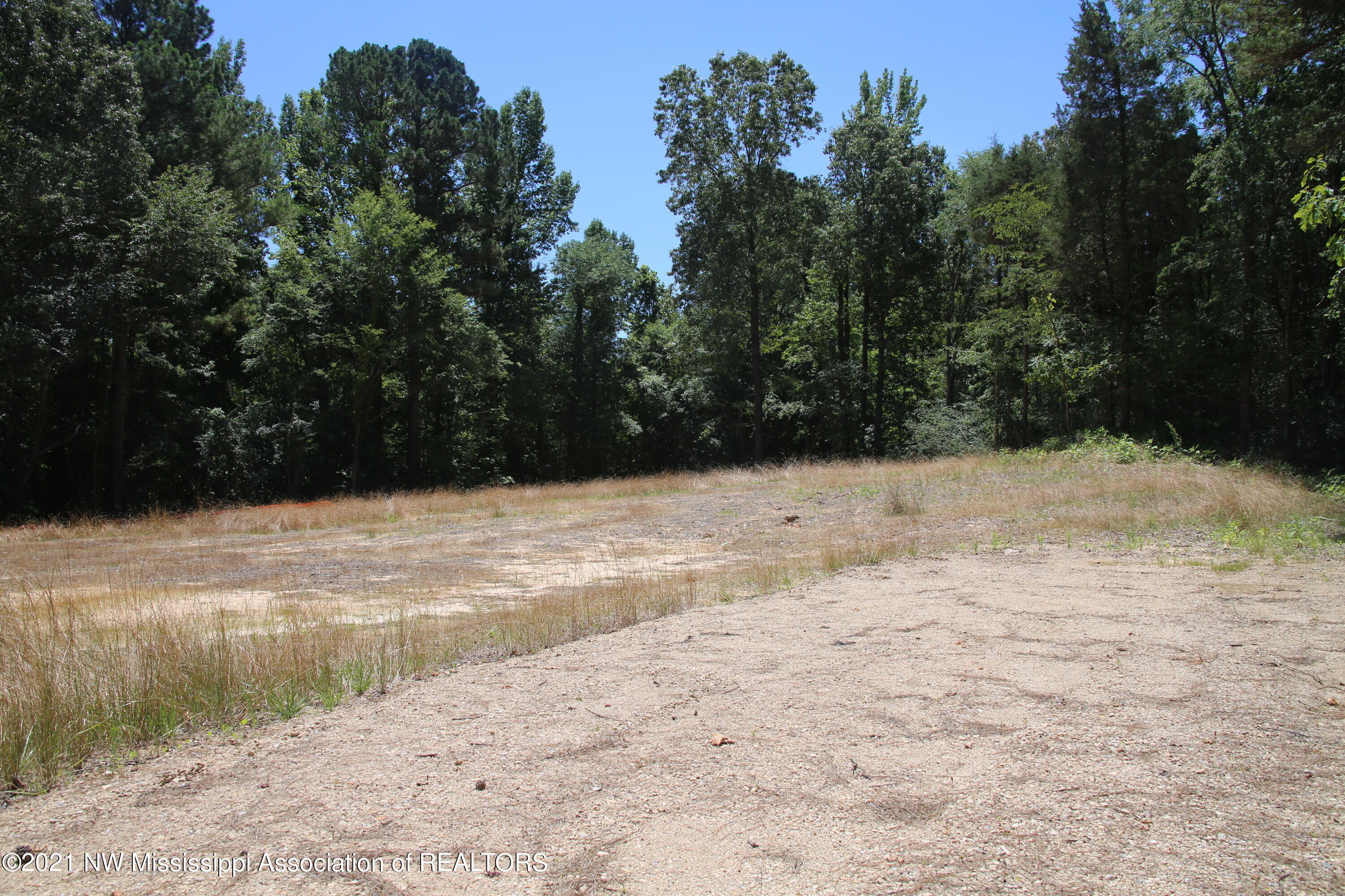 14909 Denman Road Byhalia, MS 38611 - Photo 5 of 6 Additional Photo