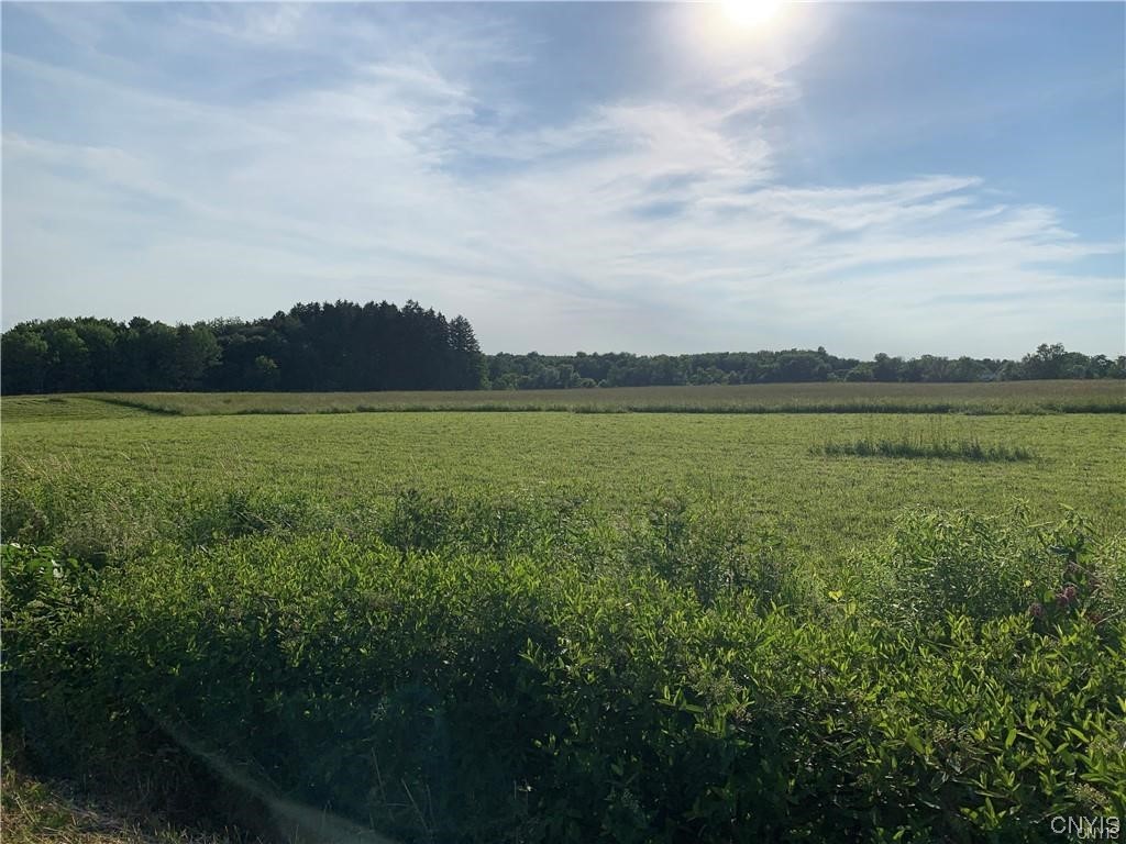 -lot 2 Cavanaugh Road Marcy, NY 13403 - Photo 1 of 1 Gallery Image 1