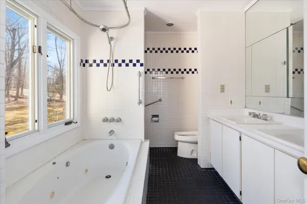 a bathroom with a sink a toilet and a bathtub