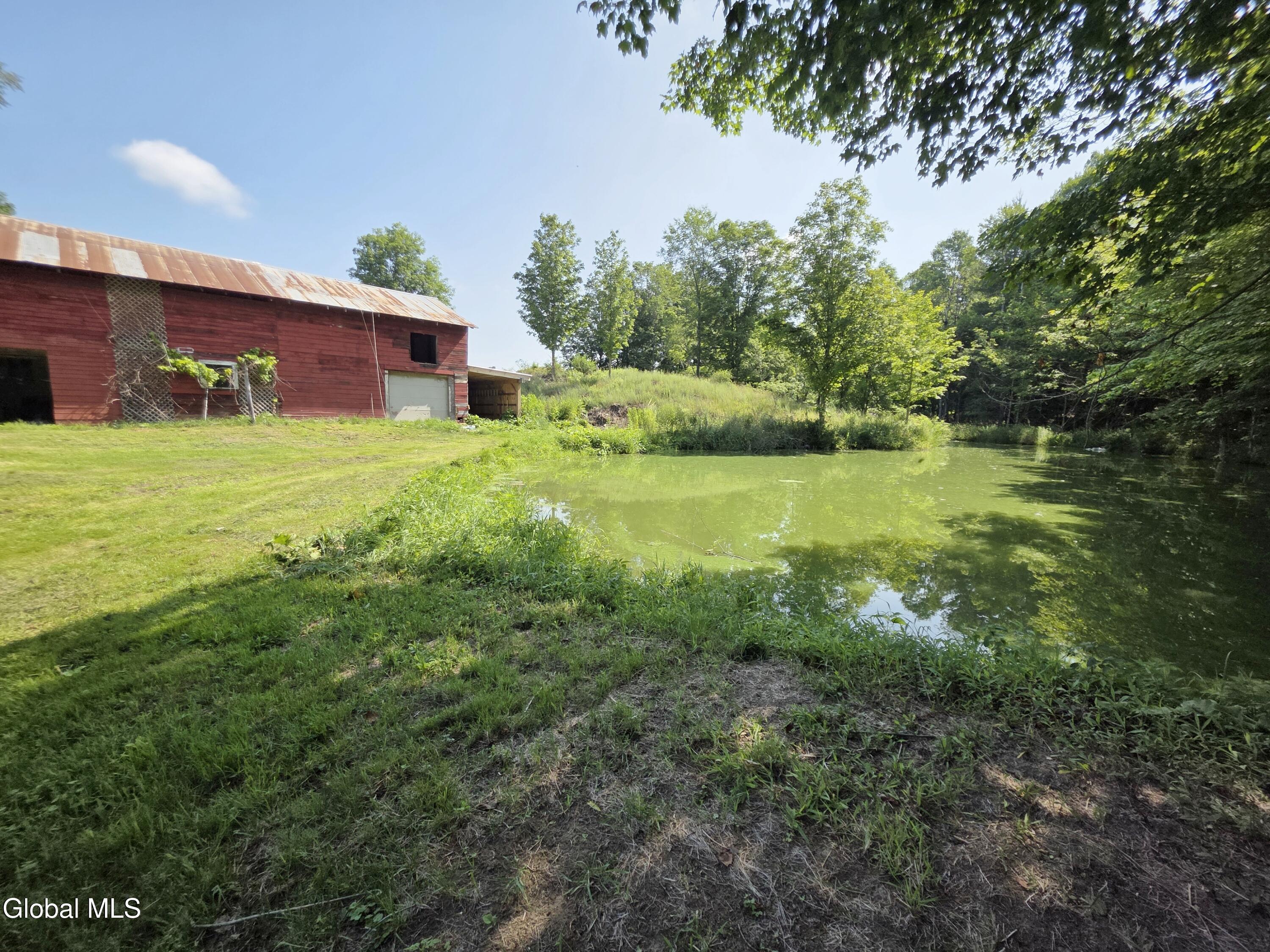 265 Longwoods Road Johnsonville, NY 12094 - Photo 3 of 25 20260701_100242