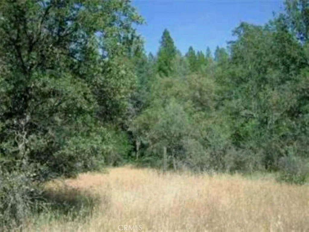 0 Texas Hill Road Oregon House, CA 95962 - Photo 9 of 33