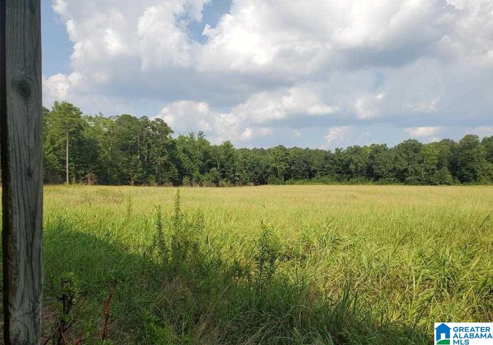 460 Fox Valley Farms Road, Unit 3 Alabaster, AL 35114 - Photo 11 of 13