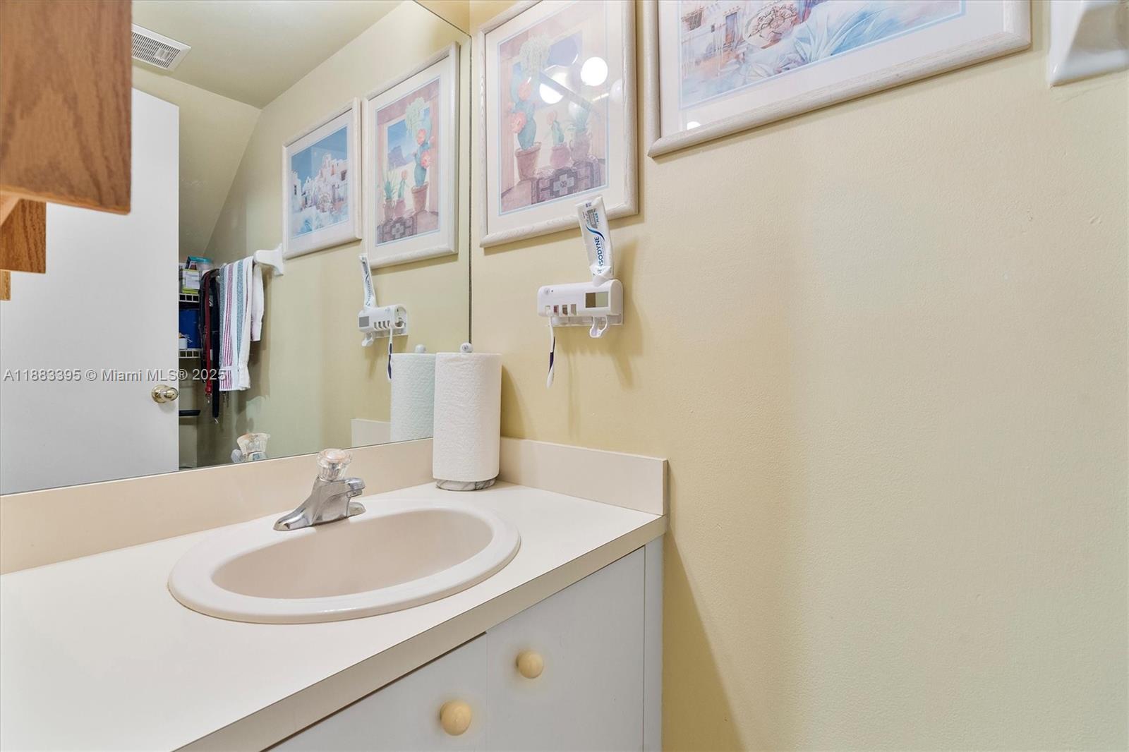 4347 Southwest 70th Terrace Davie, FL 33314 - Photo 10 of 32 a bathroom with a sink and a mirror