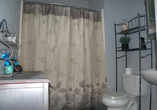 a bathroom with a toilet and shower curtain