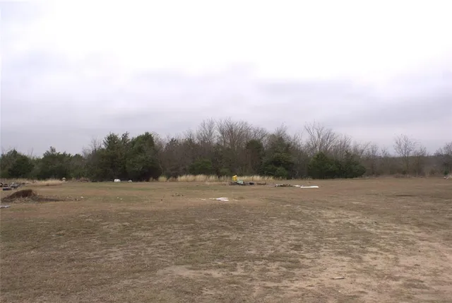 a view of a forest with trees in the background