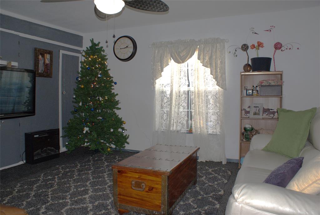 8660 County Road 308 Terrell, TX 75161 - Photo 5 of 18 a living room with furniture and a potted plant