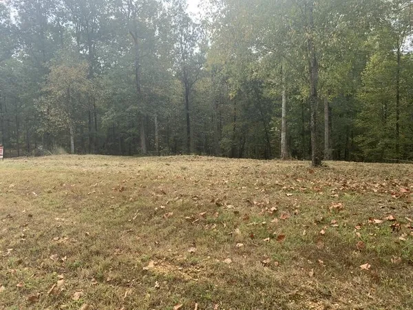 $26,950 | 81 The Woodlands Of Nashville, McEwen, TN 37101