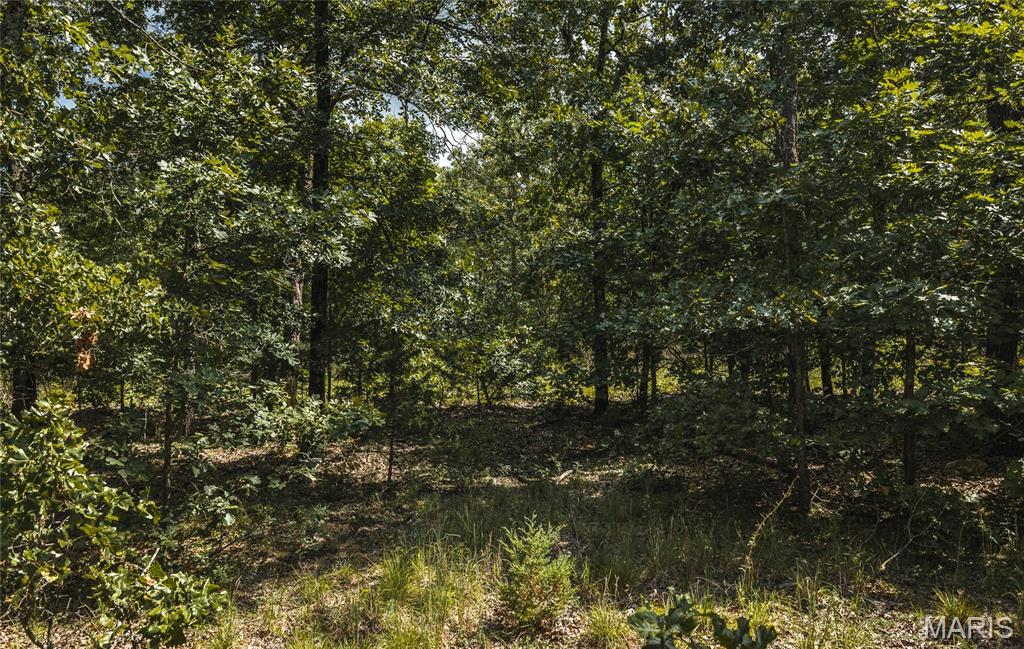 0 New Home Cemetery Road Salem, MO 65560 - Photo 15 of 17 Gallery Image 15