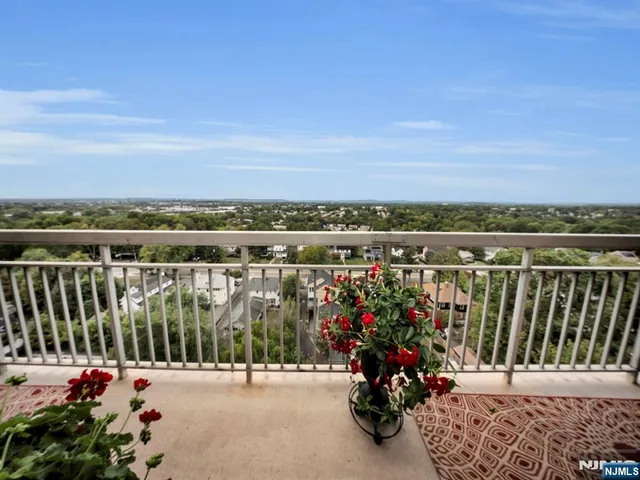 a view of a balcony with flower plants