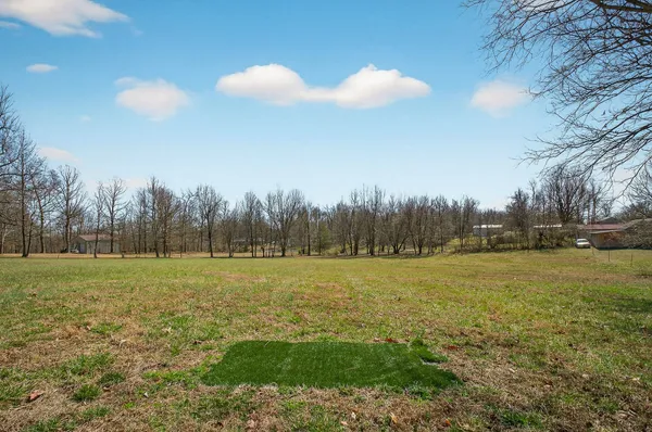 a view of large trees with a big yard
