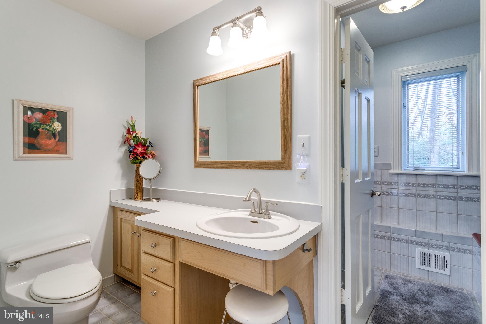 10505 Hunters Valley Road Vienna, VA 22181 - Photo 30 of 64 Gallery Image 30