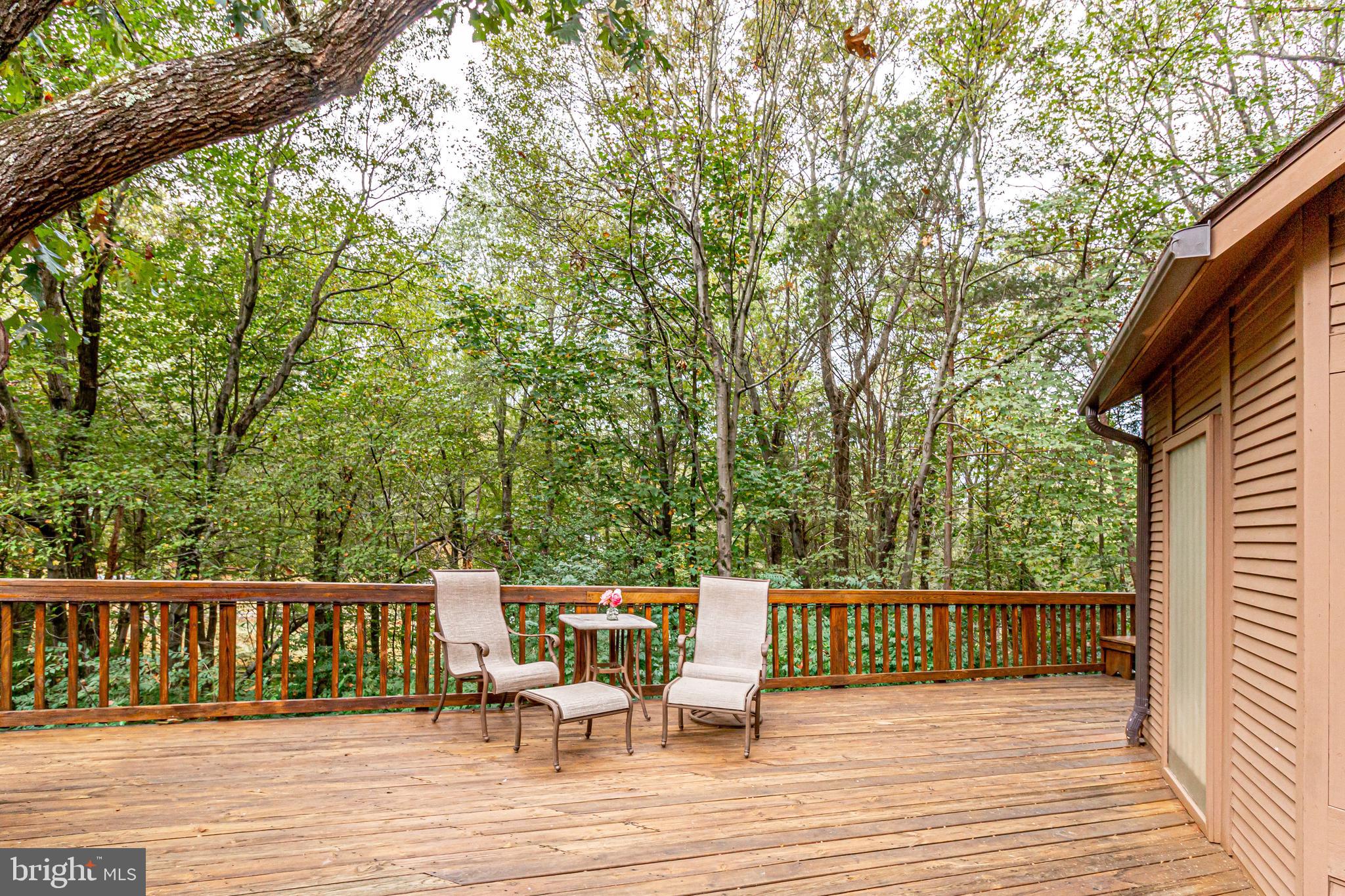 10505 Hunters Valley Road Vienna, VA 22181 - Photo 56 of 64 Gallery Image 56