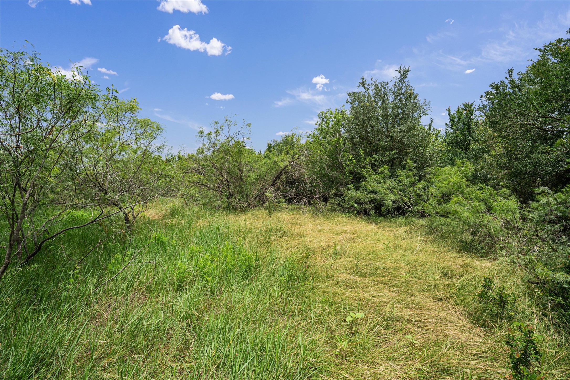 3315 County Road 463 Elgin, TX 78621 - Photo 24 of 32 A verdant, open lot offers a serene natural setting with mature trees and native grasses.
