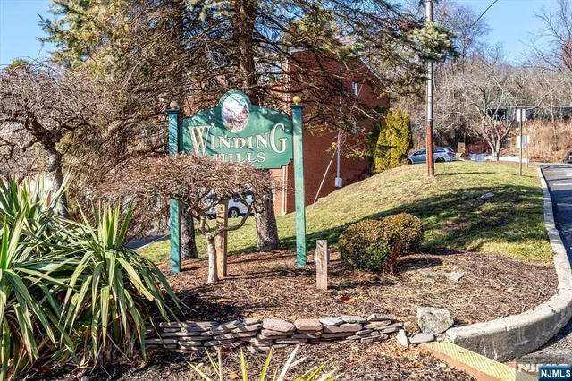 a view of a park with large trees