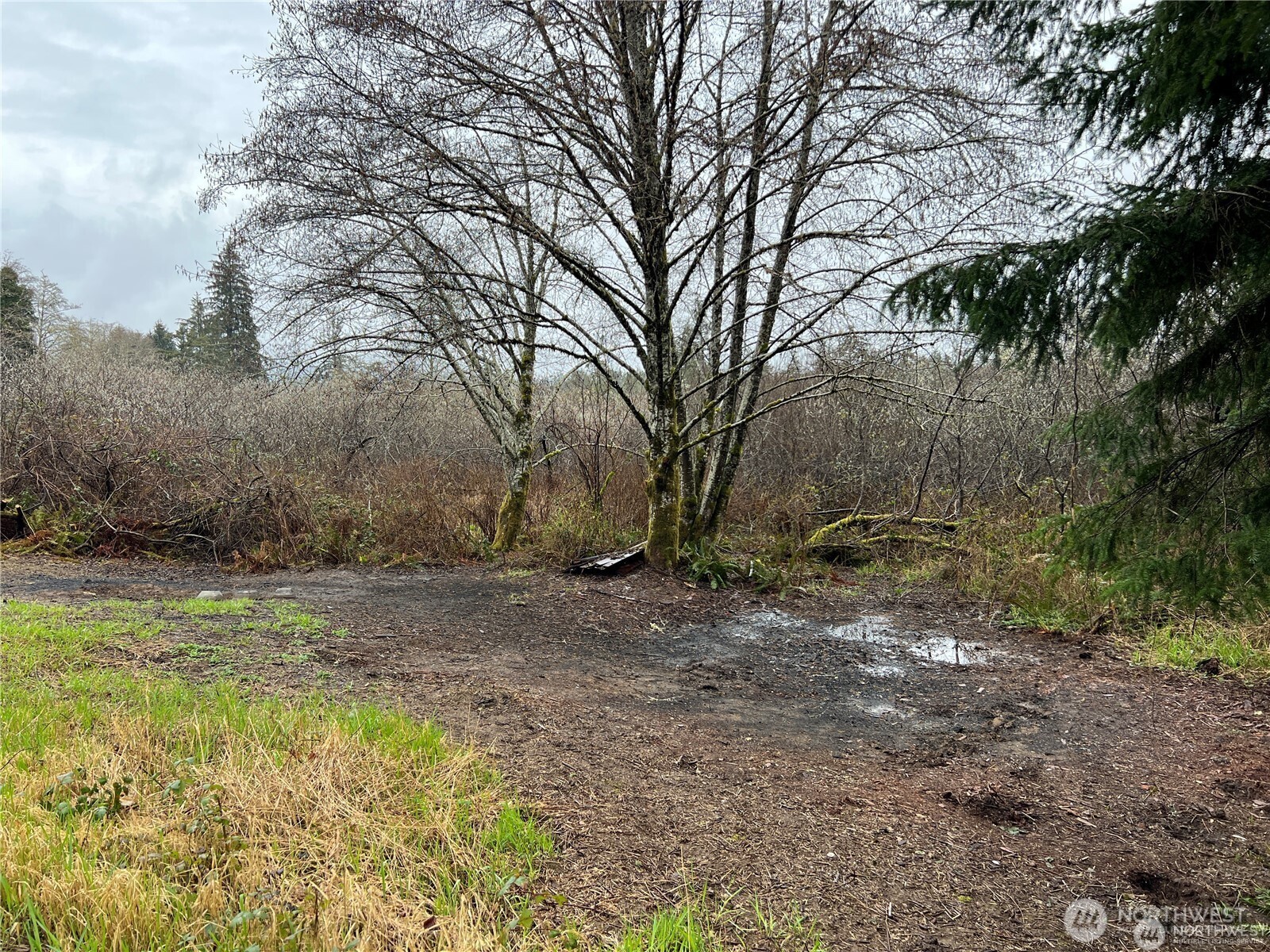 X Willapa Road Raymond, WA 98577 - Photo 4 of 8